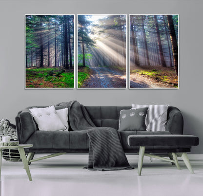 42047-MGV-CV-36X24-Sunlit Forest Path Wall Art – Nature Canvas Print, Serene Woodland Landscape, Perfect Home & Office Decor for Calm and Tranquil