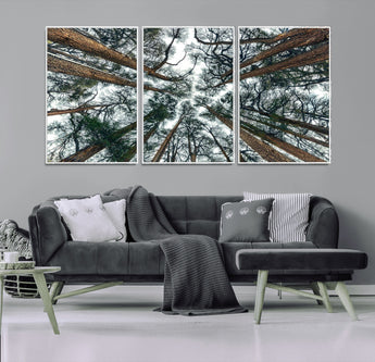 18790-MGV-CV-36X24-Pine Canopy Wall Art – Panoramic View of Towering Pines Canvas Print, Nature-Inspired Decor for Office, Cabin or Living Room