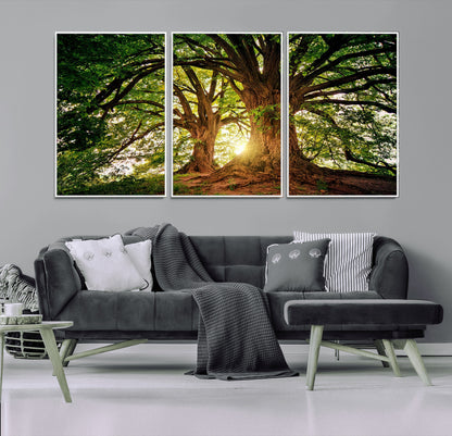 52150-MGV-FC-60X30-3P_White-Majestic Tree Wall Art – Large Nature Canvas Print with Sunlight Through Branches, Rustic Forest Decor for Living Room, Bedroom or