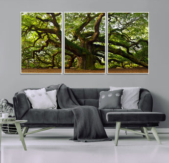 29407-MGV-FC-60X30-3P_White-Ancient Oak Tree Wall Art – Majestic Nature Canvas Print, Large Tree Photography Decor for Living Room