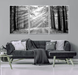 39665-MGV-FC-60X30-3P_White-Black and White Forest Path Wall Art – Sunlight Rays in Trees Canvas Print, Nature Landscape Decor for Living Room or Office