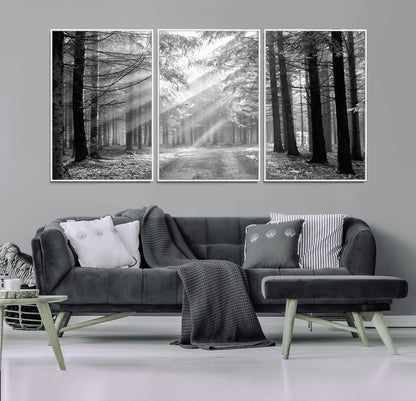 39665-MGV-FC-60X30-3P_White-Black and White Forest Path Wall Art – Sunlight Rays in Trees Canvas Print, Nature Landscape Decor for Living Room