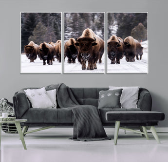 66871-MGV-FC-60X30-3P_White-Bison Herd Wall Art – Wildlife Buffalo Canvas Print, Rustic Western Nature Photography Decor for Living Room, Office, Cabin, or