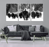 62434-MGV-CV-36X24-Bison Herd Wall Art – Majestic Black and White Buffalo Canvas Print, Wildlife Nature Photography Decor for Living Room, Office or