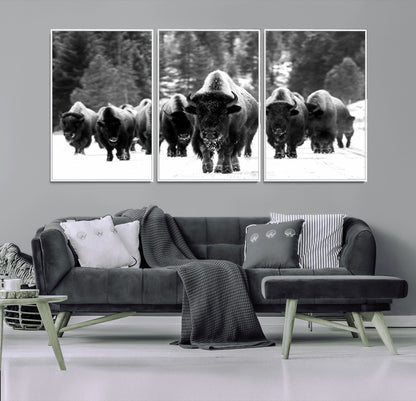62434-MGV-CV-36X24-Bison Herd Wall Art – Majestic Black and White Buffalo Canvas Print, Wildlife Nature Photography Decor for Living Room, Office or