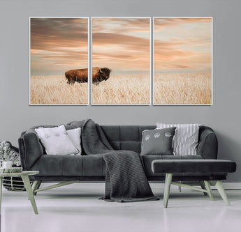 99699-MGV-FC-60X30-3P_White-Bison in Prairie at Sunset – Wildlife Photography Print, American Buffalo Wall Art, Nature Landscape Canvas Decor for Office