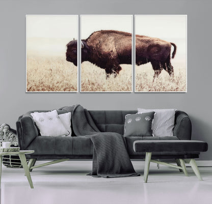 48406-MGV-FC-60X30-3P_White-American Bison Wall Art – Rustic Buffalo Canvas Print in Prairie Field, Western Wildlife Photography Decor for Cabin, Lodge,