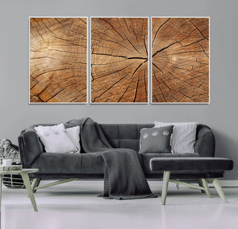 61710-MGV-FC-60X30-3P_White-Tree Rings Wall Art – Rustic Wood Grain Canvas Print of Tree Trunk Cross Section, Nature Inspired Decor for Cabin, Office, Living