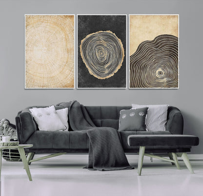 77785-MGV-FC-60X30-3P_White-Tree Ring Abstract Wall Art – Rustic Wood Growth Pattern Canvas Prints, Modern Nature-Inspired Decor for Living Room or Office