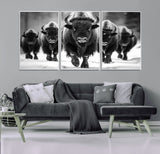 79872-MGV-CV-36X24-Bison Herd Wall Art – Black and White Buffalo on Snow Canvas Print, Rustic Wildlife Decor for Lodge, Cabin, or Living Room