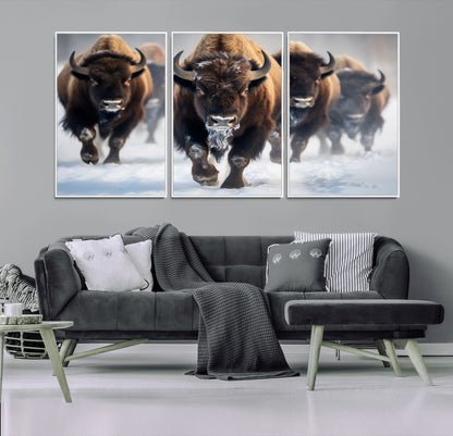 80512-MGV-CV-36X24-Bison Herd Wall Art – Buffalo Running in Snow Canvas Print, Rustic Wildlife Photography Decor for Cabin, Lodge, or Living Room