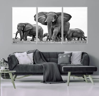 91685-MGV-CV-36X24-Elephant Herd Wall Art – Black and White Safari Canvas Print, African Wildlife Photography Decor for Living Room, Office or
