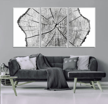 98709-MGV-FC-60X30-3P_White-Tree Ring Wall Art – Black and White Canvas Print Rustic Wood Cross Section, Minimal Nature Inspired Decor for Living Room,