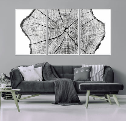 98709-MGV-FC-60X30-3P_White-Tree Ring Wall Art – Black and White Canvas Print Rustic Wood Cross Section, Minimal Nature Inspired Decor for Living Room,
