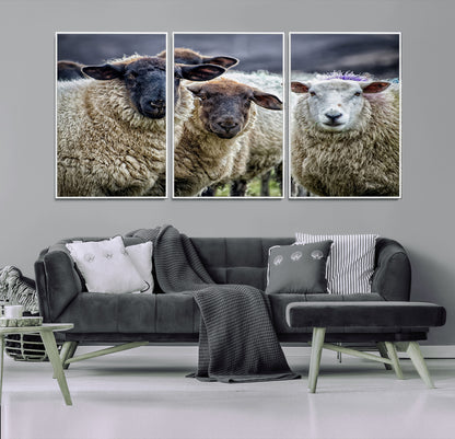 18418-MGV-FC-60X30-3P_White-Sheep Wall Art Canvas Print, Framed Farmhouse Sheep Art Picture Print, Sheep Herd Perfect Rustic Farmhouse Decor Artwork
