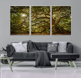 57983-MGV-FC-60X30-3P_White-Angel Oak Tree Wall Art Canvas Print, Framed Oak Tree Art Picture Print, Angel Oak Perfect Rustic Nature Decor Artwork
