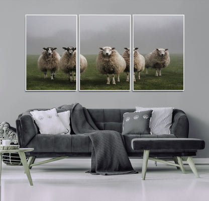 87339-MGV-FC-60X30-3P_White-Sheep Wall Art – Rustic Farmhouse Canvas Print Flock Standing Misty Field Countryside Photography, Country Animal Decor for Living