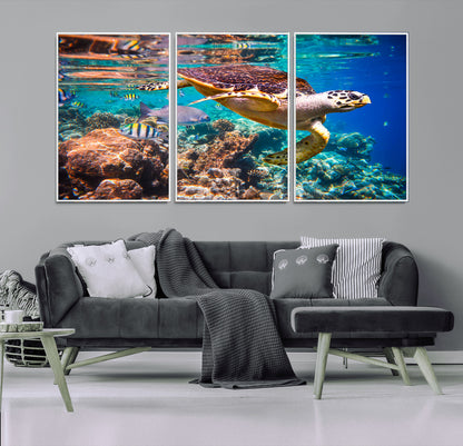 66614-MGV-CV-36X24-Sea Turtle Wall Art – Hawksbill Turtle Swimming Over Coral Reef Canvas Print, Ocean Marine Life Decor for Beach House, Coastal
