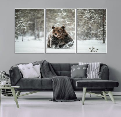 43350-MGV-CV-36X24-Wild Bear in Snow Wall Art – Majestic Wildlife Photography Print, Winter Forest Nature Decor for Cabin, Lodge, Rustic Home,