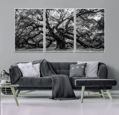 132944706-MGV-CV-36X24-Ancient Tree Wall Art – Black and White Photography Canvas Print Featuring Majestic Twisting Branches, Rustic Nature Artwork for