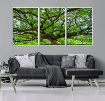 49375306-MGV-CV-36X24-Ancient Tree Wall Art Canvas Print, Framed Sprawling Branches Art Picture Print, Gnarling Tree Perfect Earthy Natural Decor