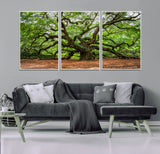 51255351-MGV-CV-36X24-Ancient Tree Wall Art – Majestic Oak Canvas Print, Large Nature Photography, Sacred Forest Landscape Wall Décor, Wisdom Tree