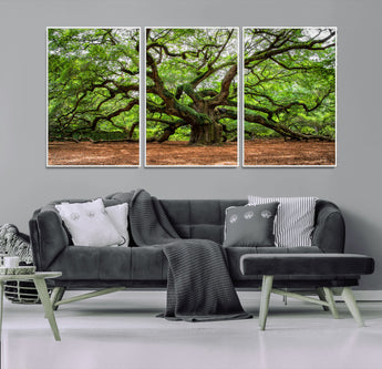51255351-MGV-CV-36X24-Ancient Tree Wall Art – Majestic Oak Canvas Print, Large Nature Photography, Sacred Forest Landscape Wall Décor, Wisdom Tree