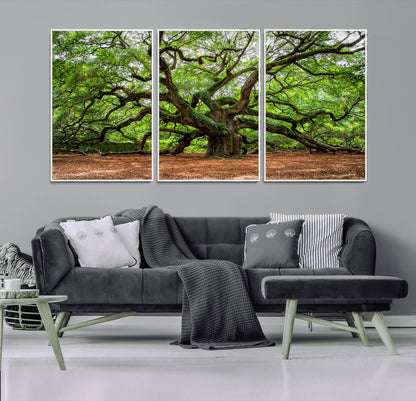 51255351-MGV-CV-36X24-Ancient Tree Wall Art – Majestic Oak Canvas Print, Large Nature Photography, Sacred Forest Landscape Wall Décor, Wisdom Tree