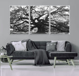 81655611-MGV-FC-60X30-3P_White-Ancient Oak Wall Art Canvas Print, Framed Twisted Branches Art Picture Print, Gnarled Tree Perfect Moody Nature Decor Artwork