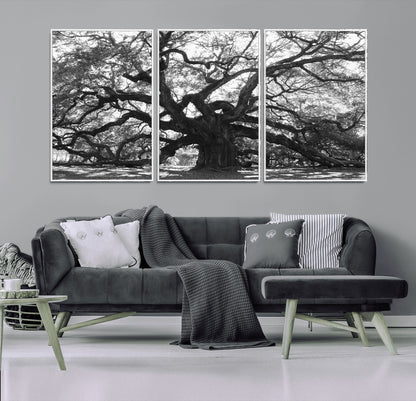81655611-MGV-FC-60X30-3P_White-Ancient Oak Wall Art Canvas Print, Framed Twisted Branches Art Picture Print, Gnarled Tree Perfect Moody Nature Decor Artwork