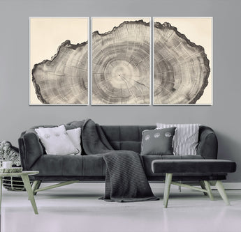 98921313-MGV-FC-60X30-3P_White-Tree Ring Wall Art Canvas Print, Framed Wood Slice Art Picture Print, Minimalist Wood Perfect Rustic Academic Decor Artwork