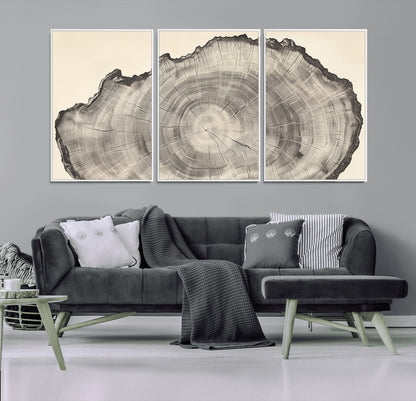 98921313-MGV-FC-60X30-3P_White-Tree Ring Wall Art Canvas Print, Framed Wood Slice Art Picture Print, Minimalist Wood Perfect Rustic Academic Decor Artwork