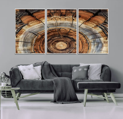15184146-MGV-FC-60X30-3P_White-Tree Rings Wall Art Canvas Print, Framed Wood Texture Art Picture Print, Rustic Pattern Perfect Rustic Organic Decor Artwork