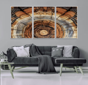 15184146-MGV-CV-36X24-Tree Rings Wall Art Canvas Print, Framed Wood Texture Art Picture Print, Rustic Pattern Perfect Rustic Organic Decor Artwork