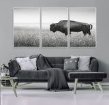 28435251-MGV-CV-36X24-Bison In Prairie Wall Art Canvas Print, Framed Rustic Wildlife Art Picture Print, Wild Buffalo Perfect Rustic Western Decor