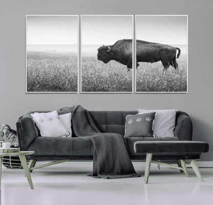 28435251-MGV-CV-36X24-Bison In Prairie Wall Art Canvas Print, Framed Rustic Wildlife Art Picture Print, Wild Buffalo Perfect Rustic Western Decor