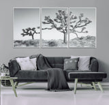 29996209-MGV-CV-36X24-Joshua Tree Art Wall Art Canvas Print, Framed Black White Landscape Art Picture Print, Desert Tree Decor Perfect Southwestern Boho
