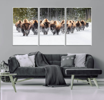 22695857-MGV-FC-60X30-3P_White-Bison Herd Scene Wall Art Canvas Print, Framed Western Wildlife Art Picture Print, Rustic Animal Art Perfect Rustic Lodge Decor