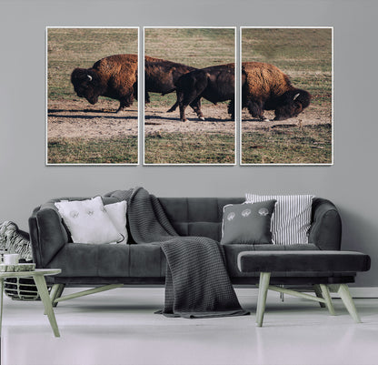 58141885-MGV-CV-36X24-Bison Photography Wall Art Canvas Print, Framed Western Wildlife Art Picture Print, Modern Ranch Perfect Western Rustic Decor
