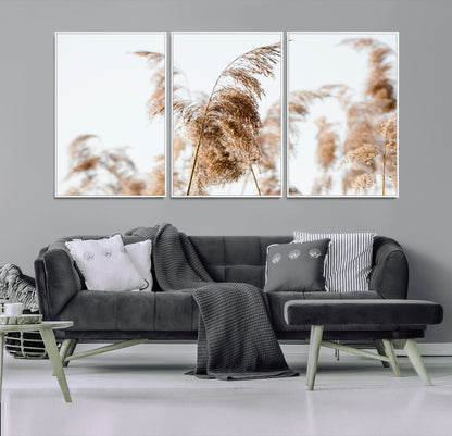 17019393-MGV-CV-36X24-Pampas Grass Wall Art Canvas Print, Framed Neutral Tones Art Picture Print, Minimalist Nature Perfect Boho Minimalist Decor