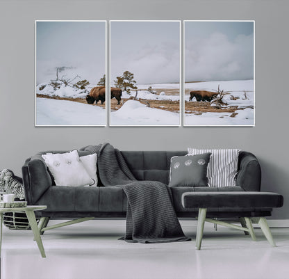 60308289-MGV-CV-36X24-Bison Wildlife Wall Art Canvas Print, Framed Snowy Prairie Art Picture Print, Western Landscape Perfect Rustic Winter Decor