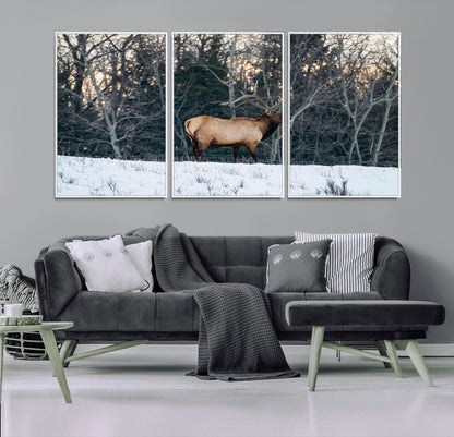 36533178-MGV-CV-36X24-Wild Elk Photography Wall Art Canvas Print, Framed Winter Wildlife Art Picture Print, Snowy Forest Perfect Rustic Lodge Decor