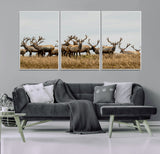 42170220-MGV-CV-36X24-Elk Herd Wall Art Canvas Print, Framed Wildlife Photography Art Picture Print, Majestic Antlers Perfect Rustic Wildlife Decor