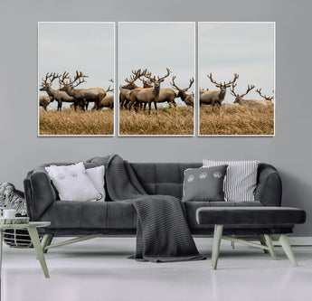 42170220-MGV-CV-36X24-Elk Herd Wall Art Canvas Print, Framed Wildlife Photography Art Picture Print, Majestic Antlers Perfect Rustic Wildlife Decor