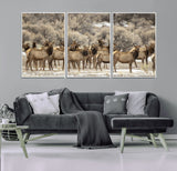 93076148-MGV-CV-36X24-Elk Herd Wall Art – Wildlife Canvas Print of Elk in Winter Landscape, Rustic Western Cabin & Lodge Décor, Nature Photography for