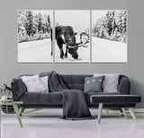 38956835-MGV-FC-60X30-3P_White-Moose Wall Art – Black and White Wildlife Canvas Print with Snowy Forest Road, Rustic Nature Photography for Cabin, Lodge, Living