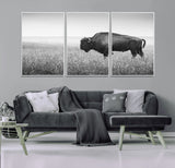 90861202-MGV-FC-60X30-3P_White-Black and White Bison Canvas Wall Art – Rustic American Buffalo Print, Western Wildlife Photography for Farmhouse, Cabin, Office