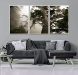 87969493-MGV-FC-60X30-3P_White-Forest Wall Art – Misty Tall Trees Canvas Print, Dramatic Woodland Photography Decor for Bedroom, Living Room, Office, Cabin,