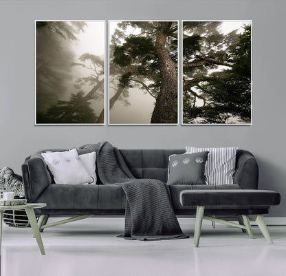 87969493-MGV-FC-60X30-3P_White-Forest Wall Art – Misty Tall Trees Canvas Print, Dramatic Woodland Photography Decor for Bedroom, Living Room, Office, Cabin,