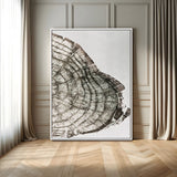 57798204-MGV-FC-24X36_White-Botanical Tree Ring Wall Art Canvas Print, Framed Earth Tones Art Picture Print, Tree Ring Canvas Perfect Scandinavian Minimalist